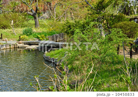 向島百花園・水辺の石橋 向島百花園・水辺の石橋 10450833