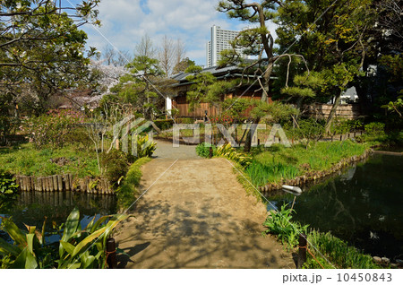 向島百花園 向島百花園 10450843