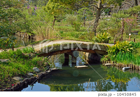 向島百花園 10450845