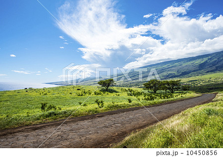 マウイ島ハレアカラ国立公園の東海岸-5 10450856