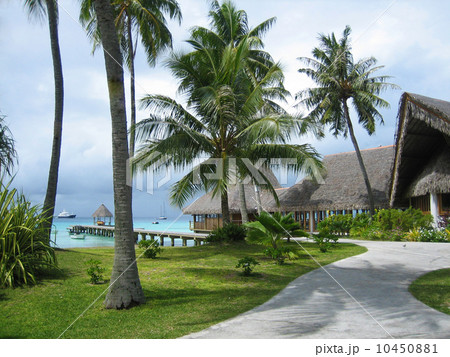 タヒチの心地の良い風を感じてください 10450881