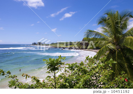 マウイ島ハナビーチパーク-1 10451192