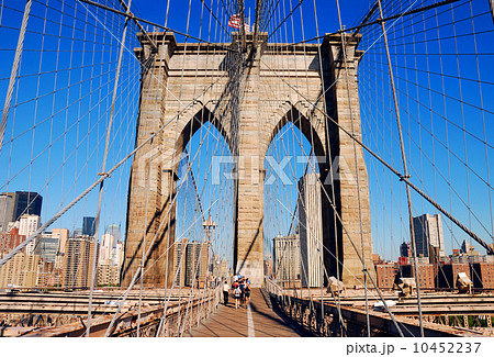 New York City New York City 10452237