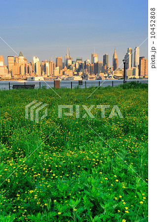 New York City Manhattan with lawn New York City Manhattan with lawn 10452808