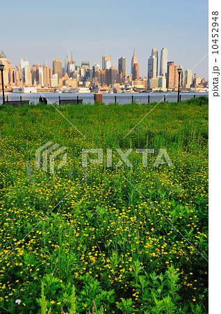 New York City Manhattan midtown skyline New York City Manhattan midtown skyline 10452948