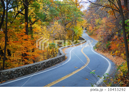 Winding Autumn road with colorful foliage Winding Autumn road with colorful foliage 10453292