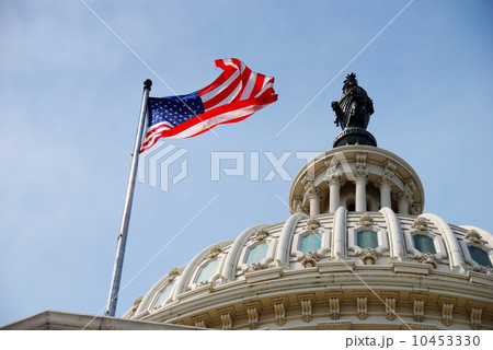 US Flag and Capitol building, Washington DC 10453330