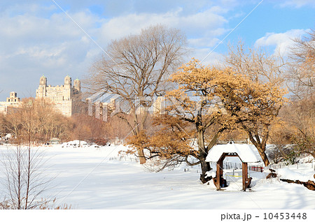 New York City Manhattan Central Park in winter New York City Manhattan Central Park in winter 10453448