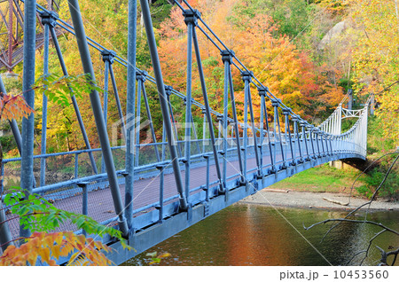 Bear Mountain foliage 10453560