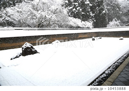 雪の石庭 10453888