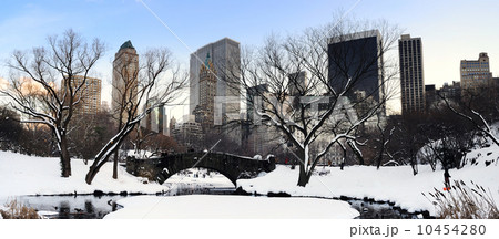 New York City Manhattan Central Park panorama at dusk 10454280