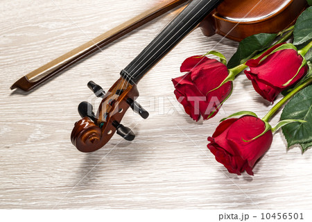 Violin, rose and music books Violin, rose and music books 10456501