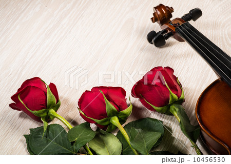 Violin, rose and music books Violin, rose and music books 10456530