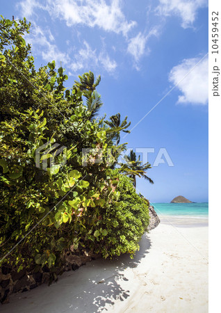 オアフ島ラニカイビーチの路地から望むモクルア島-1 10459452