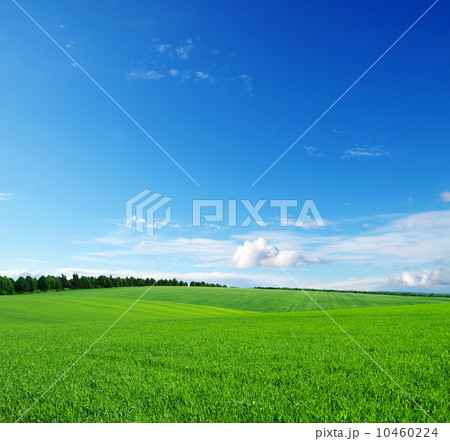 green field 10460224