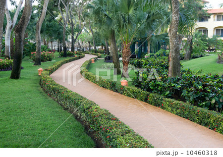 Garden 10460318
