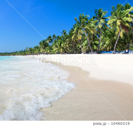 sea beach 10460319