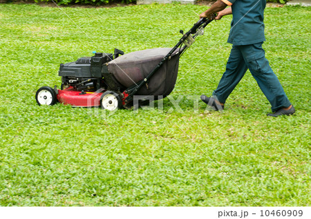 mowing the lawn mowing the lawn 10460909