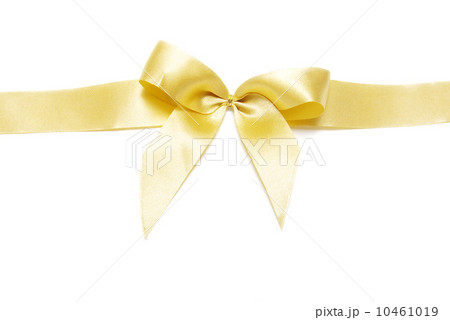 holiday bow 10461019