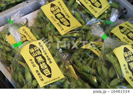丹波篠山で売られている丹波黒枝豆 丹波篠山で売られている丹波黒枝豆 10461534