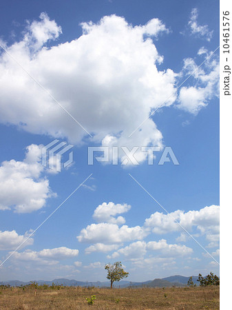 Blue Sky Weather Nature Blue Sky Weather Nature 10461576