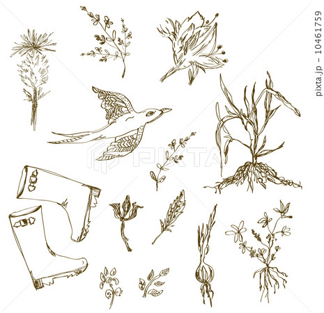 Garden herbs sketch with birds, plants, gumboots 10461759