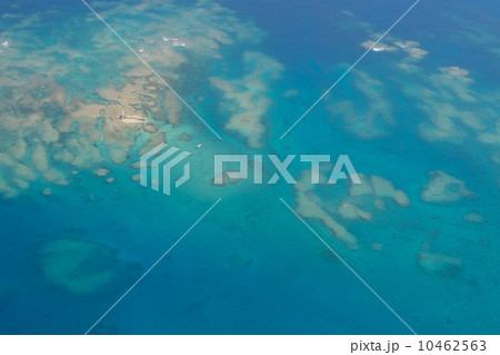 平曽根灯台とサンゴ礁 10462563