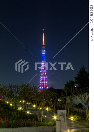 星条旗色にライトアップする東京タワー オバマ米大統領来日 星条旗色にライトアップする東京タワー オバマ米大統領来日 10462682