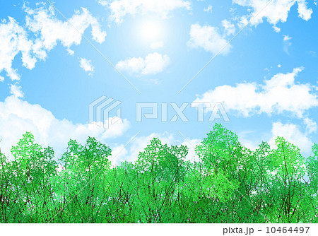 森と空の背景 夏空のイラスト素材