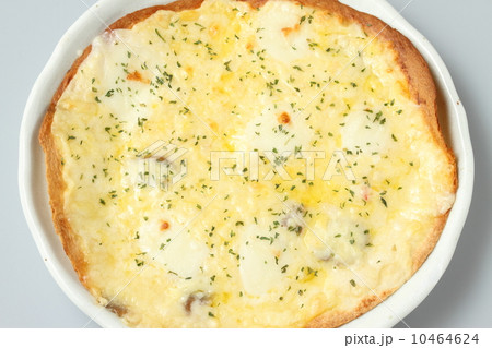 ゴルゴンゾーラのピザ 10464624