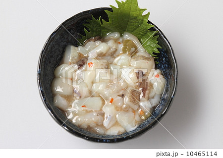 タコのワサビ漬け 10465114