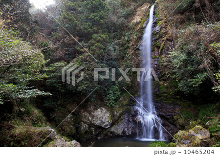 大樽の滝 高知県 大樽の滝 高知県 10465204