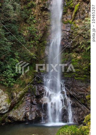 大樽の滝　高知県 10465207