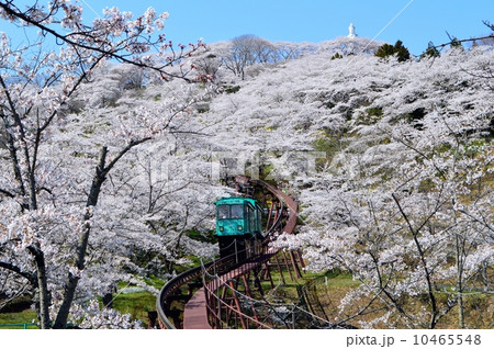 船岡城址公園のスロープカーと桜の写真素材