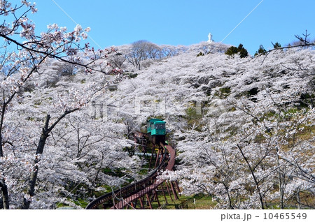 船岡城址公園のスロープカーと桜 10465549