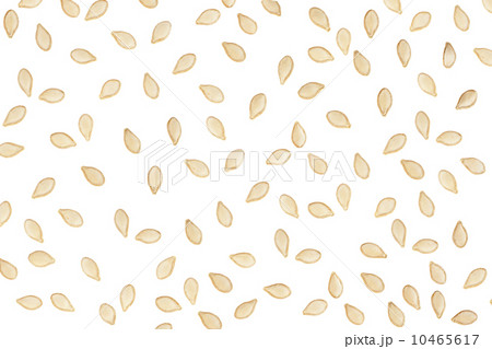 seed of pumpkin background 10465617