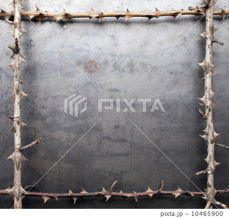 Frame from prickly dry branches on metal texture background 10465900