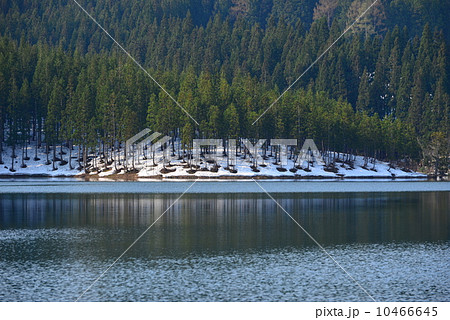 津南町中子の池 津南町中子の池 10466645