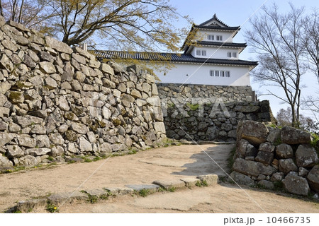 彦根城・西の丸三重櫓 彦根城・西の丸三重櫓 10466735