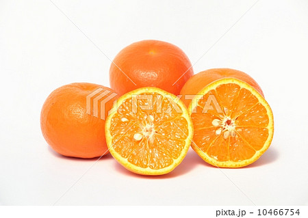 セミノール セミノール 10466754