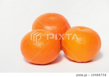 セミノール 10466758