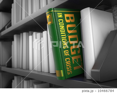 Budget in Conditions of Crisis - Book Title.  10466784