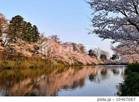 満開の高田城 10467067