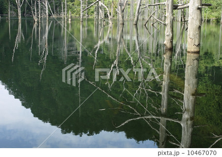 自然湖 自然湖 10467070