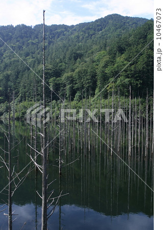 自然湖 自然湖 10467073