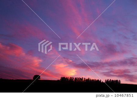 茜雲舞う夕空 10467851