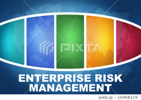Enterprise Risk Management Enterprise Risk Management 10468329