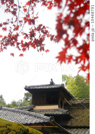 晩秋の嘯月楼  10468791