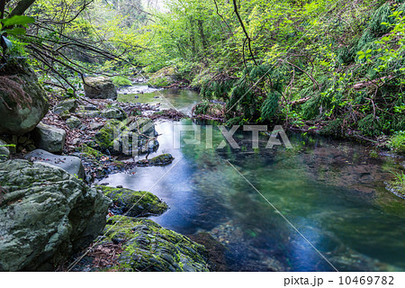 裏高尾、小下沢の風景 裏高尾、小下沢の風景 10469782