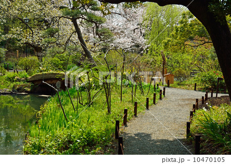 向島百花園 10470105